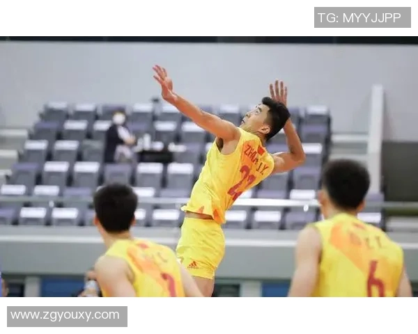 武汉乒乓球队的蜕变与挑战洲际杯背后的奋斗与希望